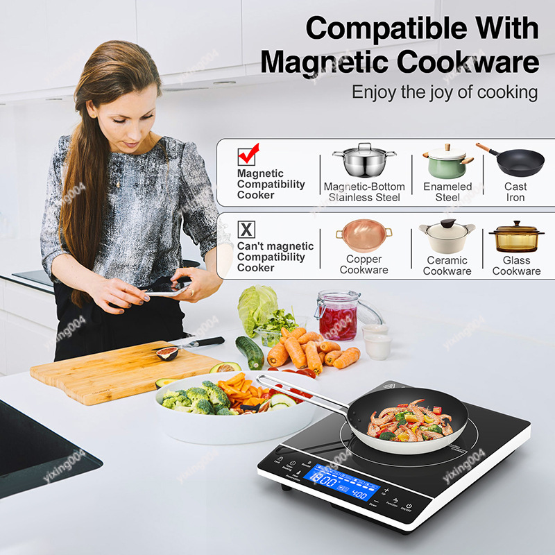 Fogão de Indução Portátil 110V - Induction Cooktop Portable avaliação e preço