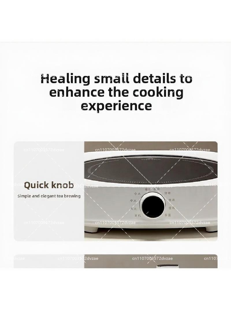 Fogão Elétrico de Cerâmica Int - Induction Cooktop Portable avaliação e preço